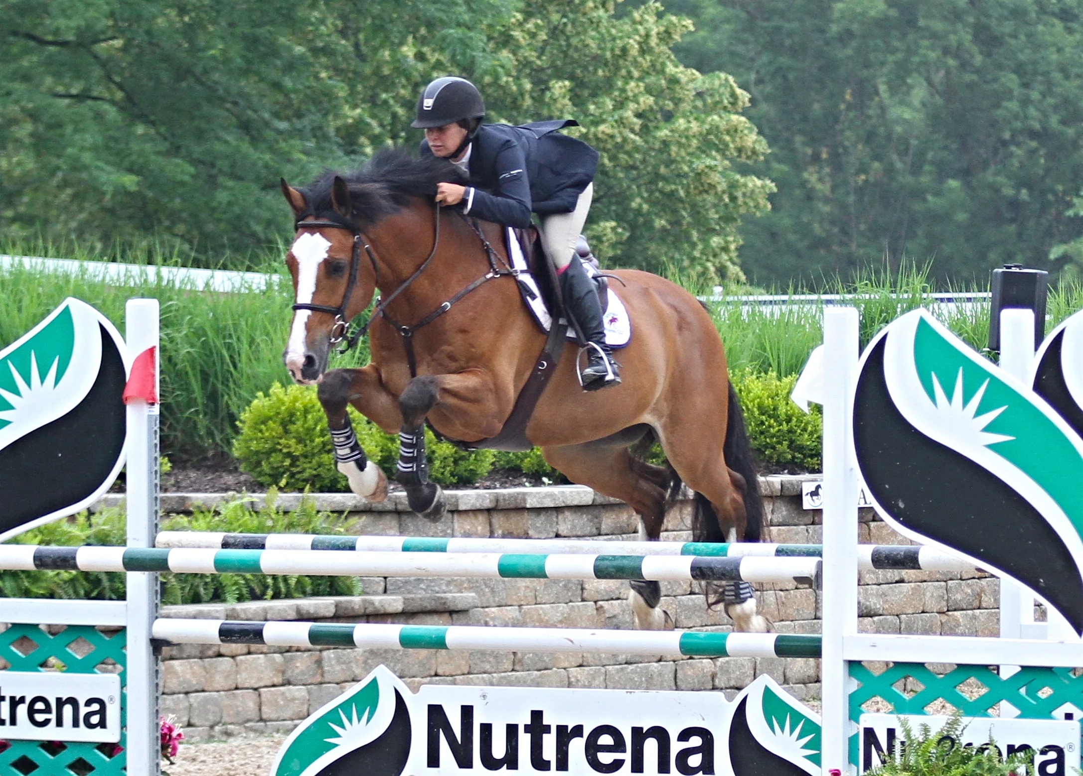 Lisa Goldman and Air Guitar $2,500 Open Jumper 1.30m, sponsored by Matchmaker Ltd