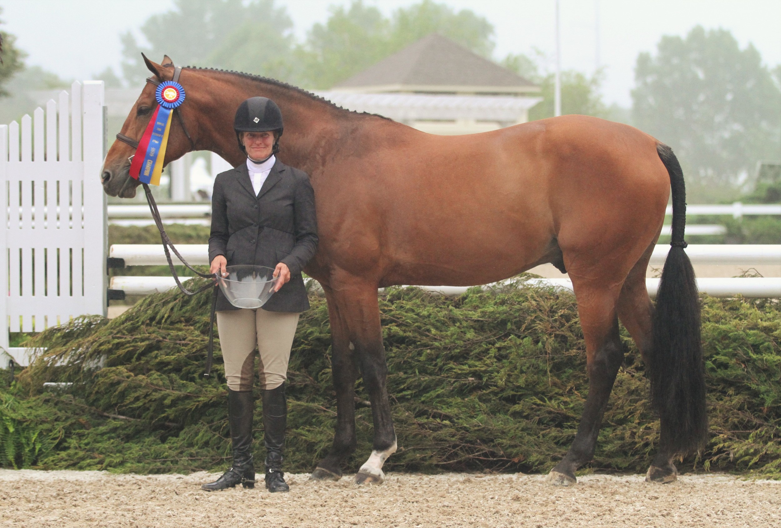First Year Green $2,500 Open Hunter Classic Because, owned by Jane Gaston and ridden by Kelley Farmer, topped the First Year Green division and won the Open Hunter Classic.