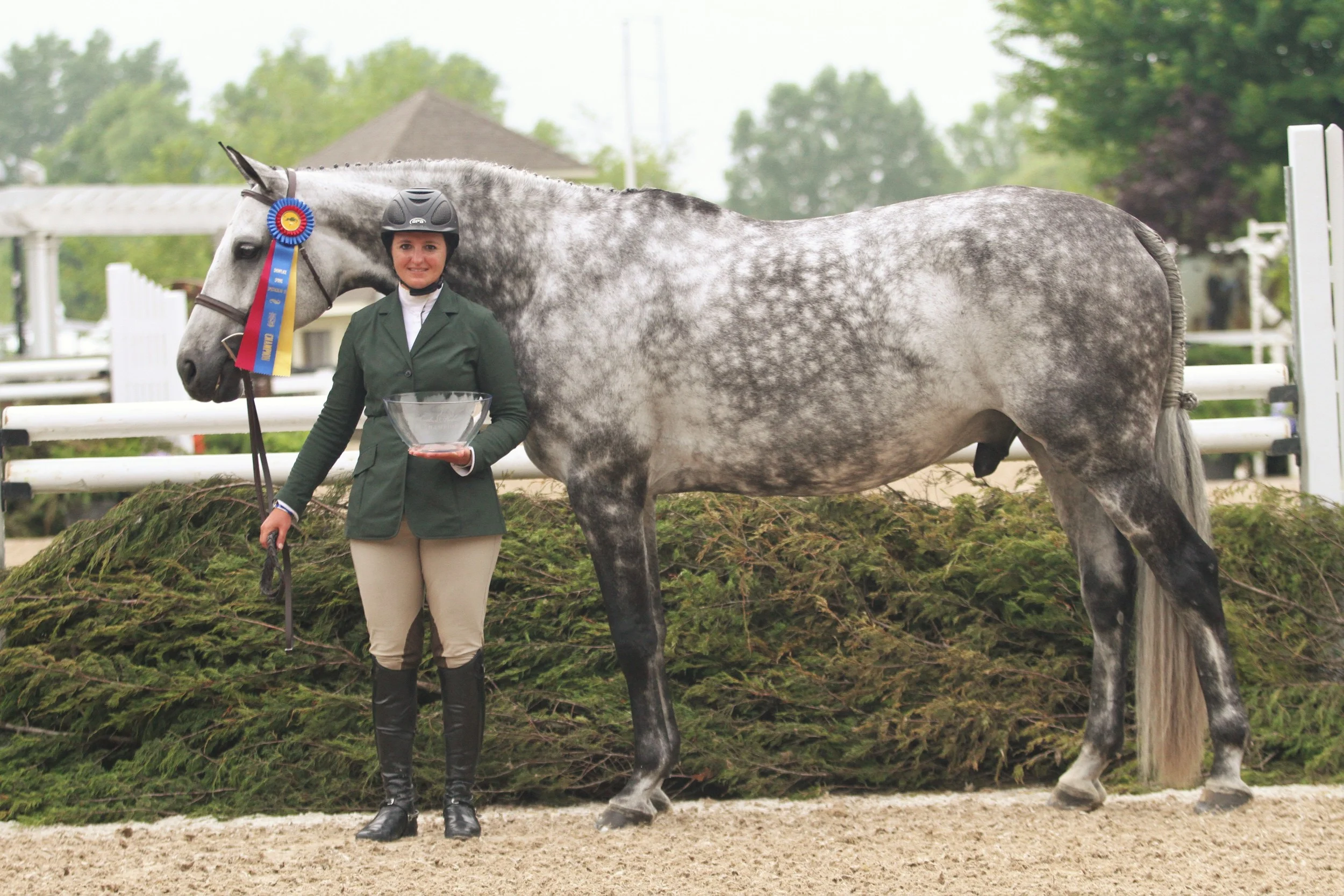 Second Year Moonwalk, owned by Copper Fox LLC, ridden by Hillary Johnson