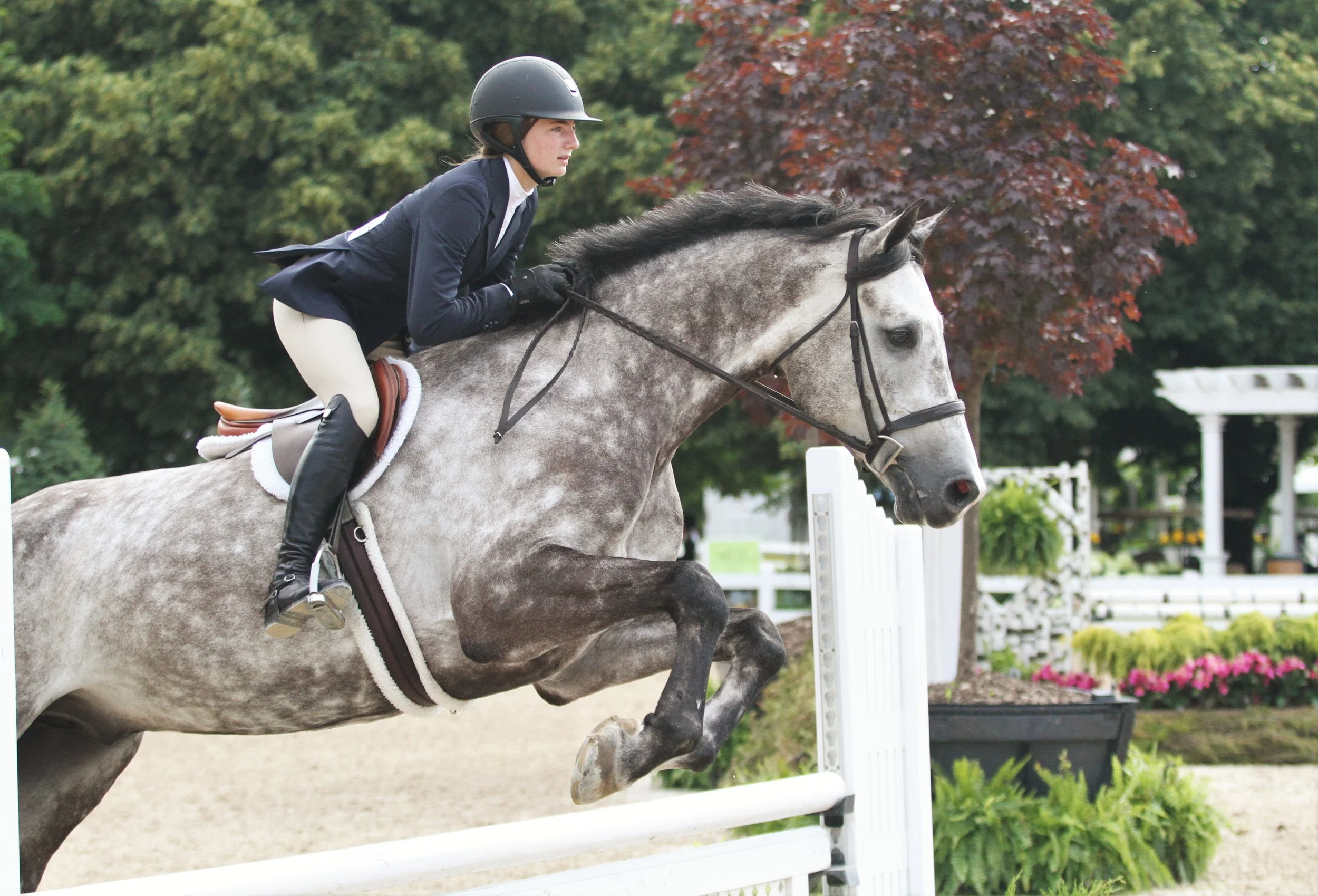 IHJA Junior Medal Marshall & Sterling Junior Medal Rebecca Kozma took both medal classes with Perfecta Farm’s entry, Corochino Z.