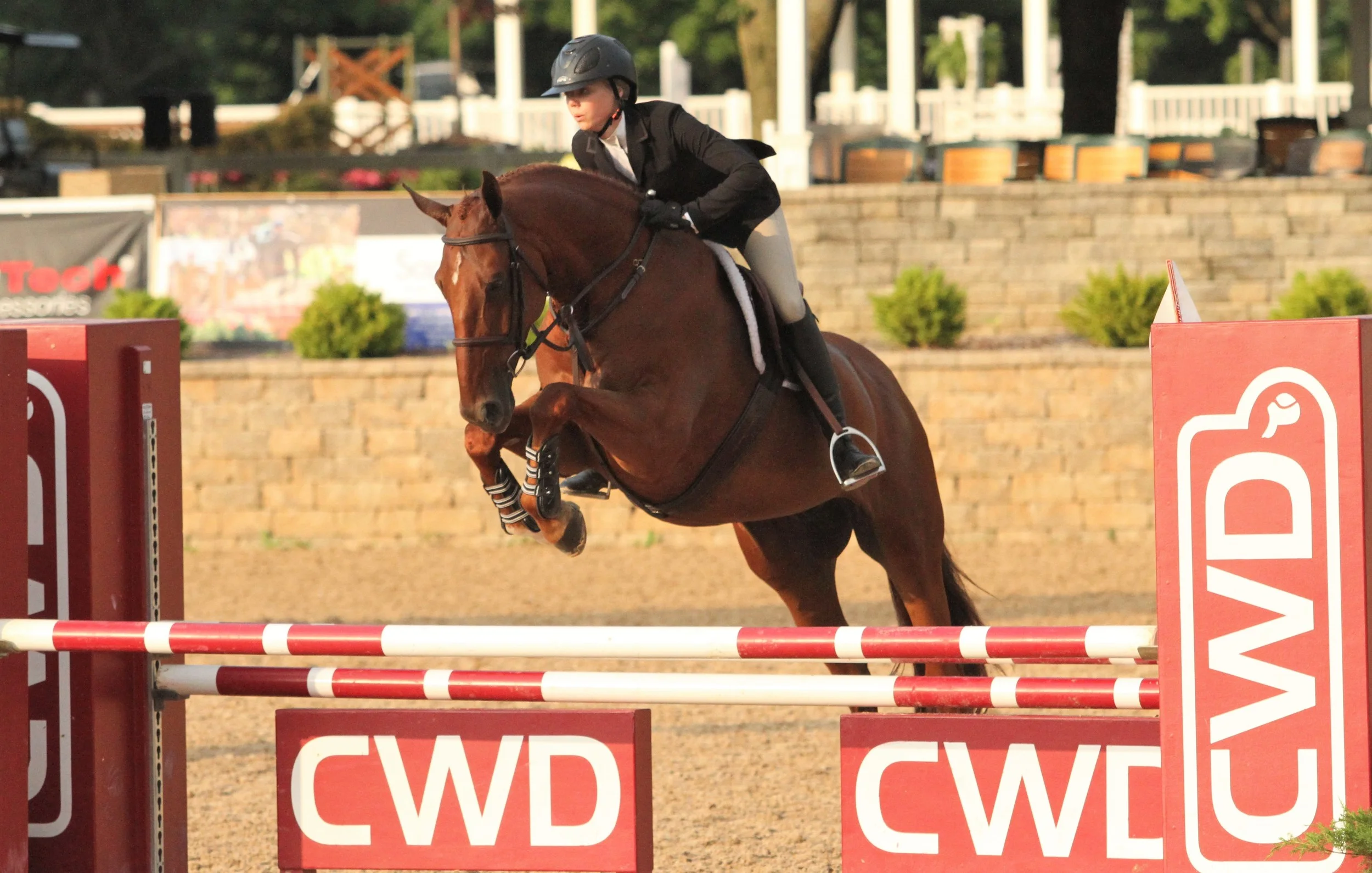 USEF Talent Search Medal Paige Matthies and Icaris Vede, owned by Dudley B Smith
