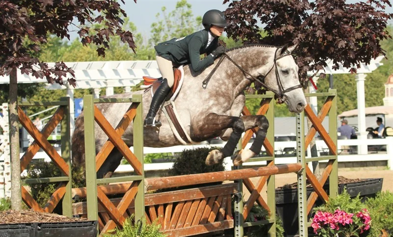 Equitation 15-17 Champion Rebecca Kozma was champion of the Equitation 15-17 division with Corochino Z, owned by Perfecta Farm.