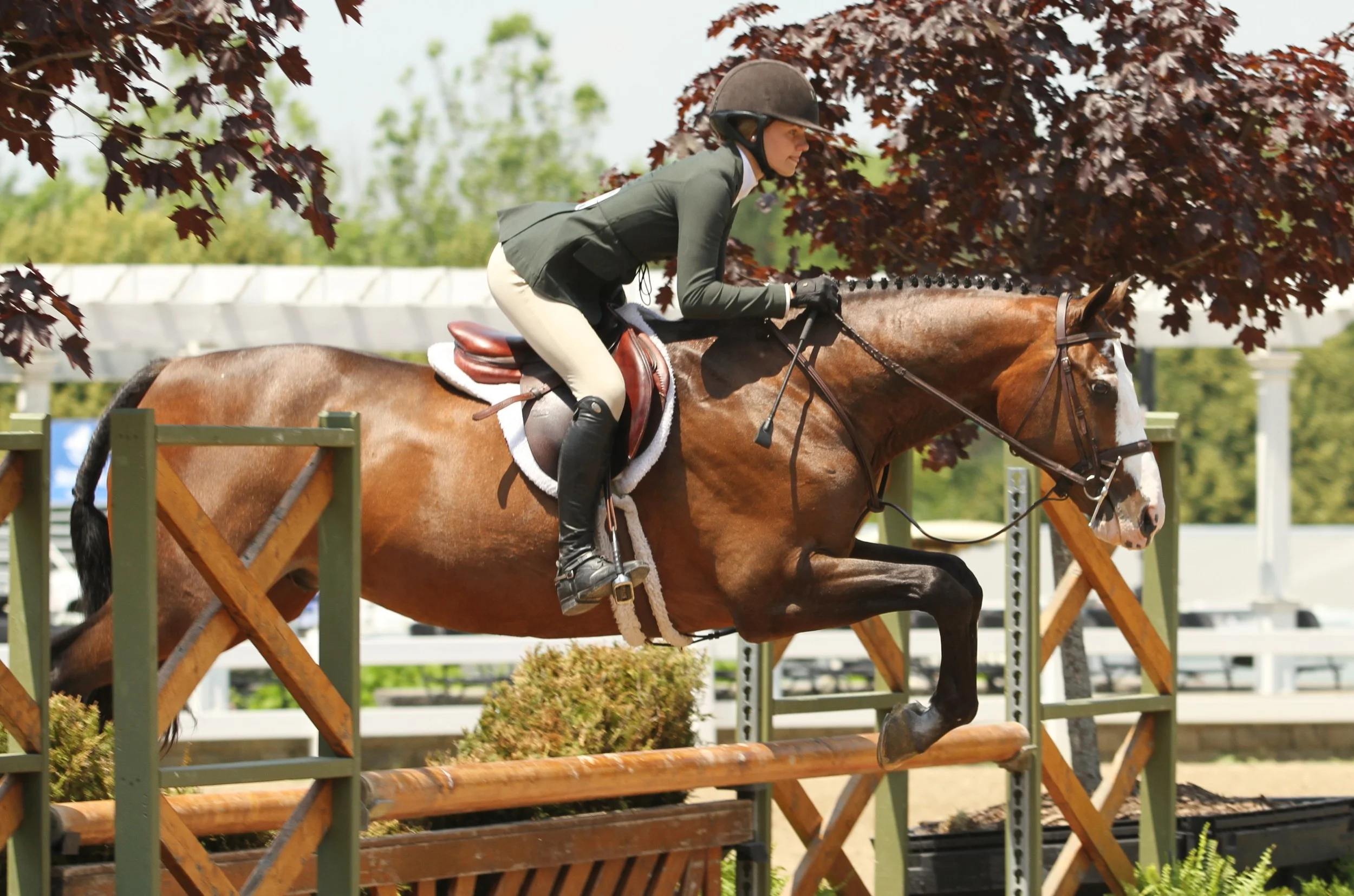 Washington Equitation Overall Giavanna Rinaldi and Fendi, owned by Deborah Ball, completed the jumper and hunter phases to win the overall.