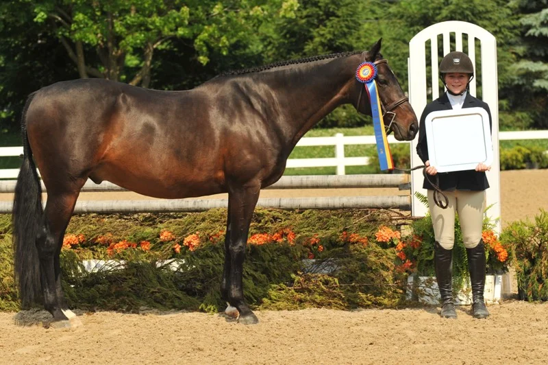 Photo by Andrew Ryback Photography WIHS Children’s Classic Neverending Story, owned and ridden by Lilly French 