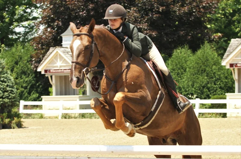 For Adventure and Giavanna Rinaldi Small/Large Junior Hunter 16-17 preview Giavanni Rinaldi looks to lead the division heading into tomorrow’s competition with two horses, Bugsy Malone and For Adventure. Bugsy Malone is owned by Rinaldi’s trainer, Alex Jayne. For Adventure is Alex McNally’s entry. “For tomorrow, I just want to do the same thing as I did today, and just go around smoothly and nicely,” Rinaldi said. “I would like to get good placings again tomorrow and hopefully come out with champion and reserve.”