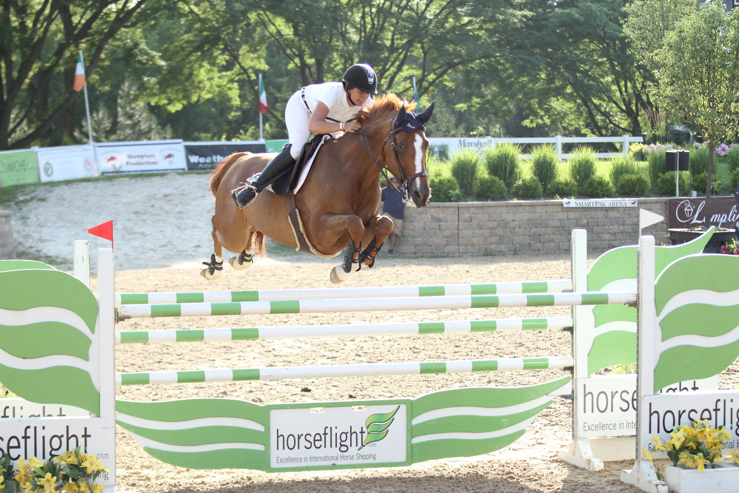 Lisa Goldman and Rocs to Riches