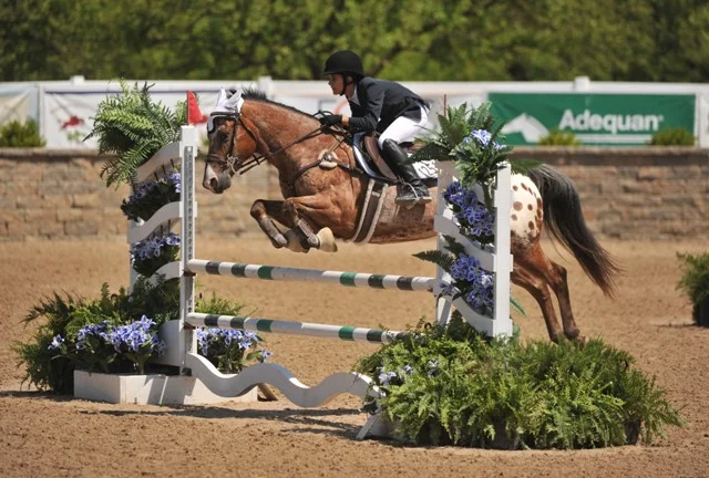 Photo by Andrew Ryback Photography $2,500 Puddle Jumper Classic presented by Devoucoux Ziggy Stardust, owned and ridden by Grace Kucienski