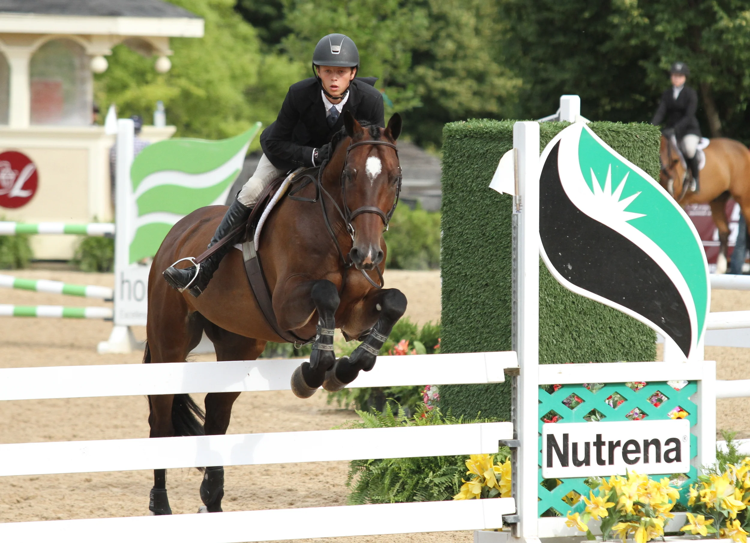 Brian Moggre in the Equitation Challenge with Viceroy, owned by Bethany Bolen