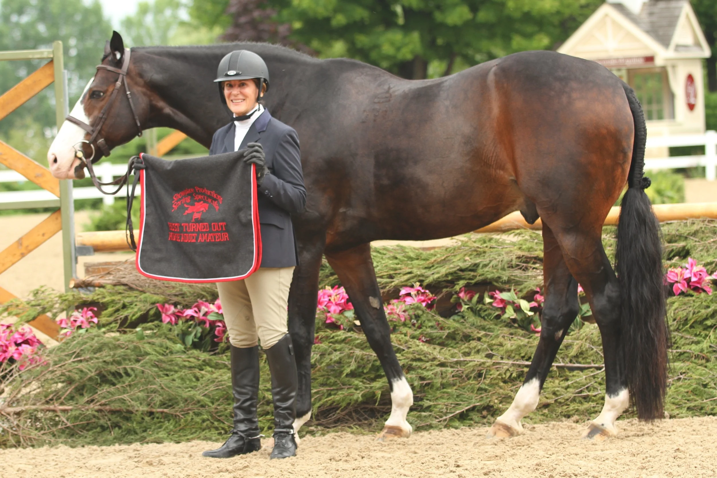Best Turned Out Horse Adult Amateur Playbook, owned and ridden by Beth Bailey