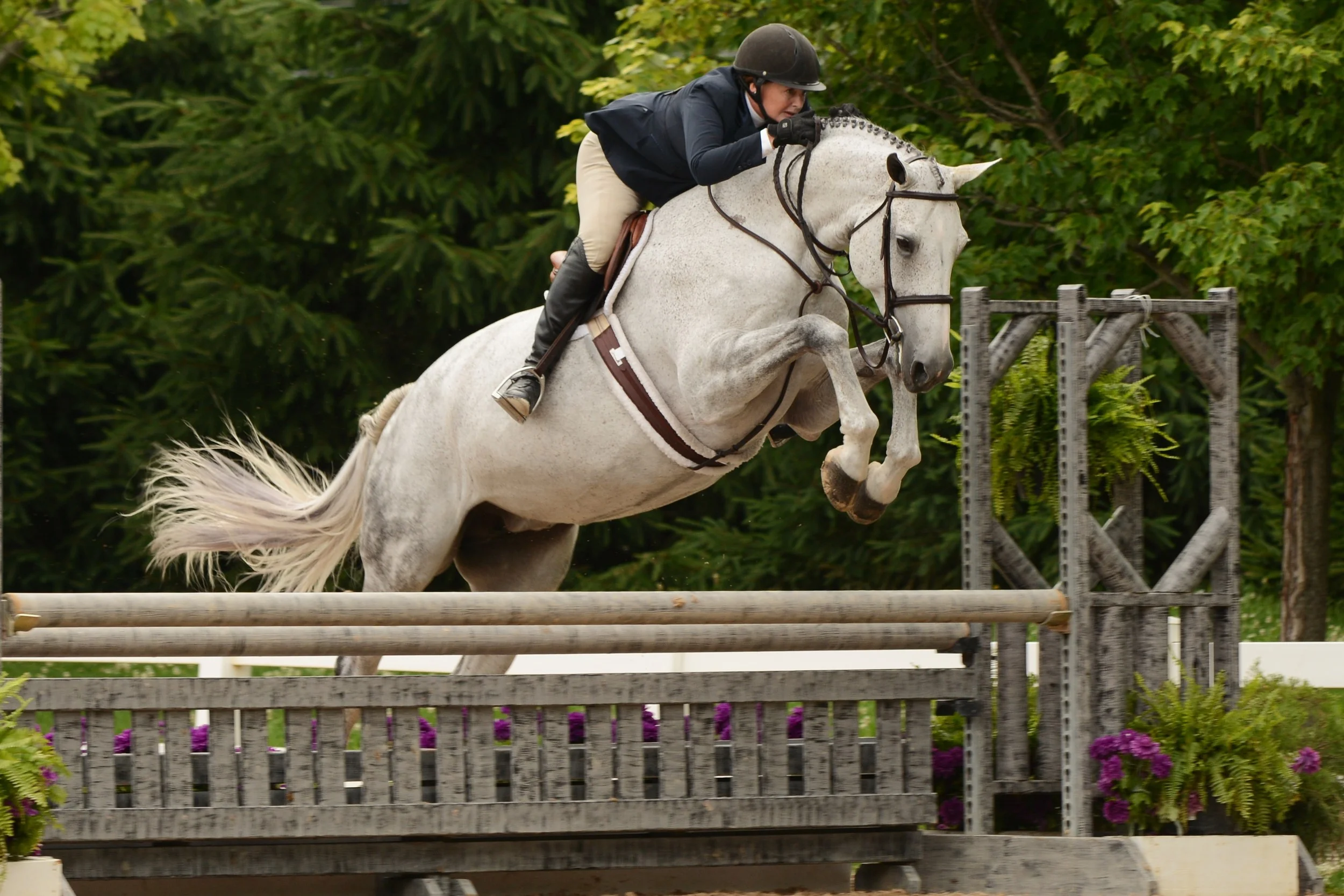Photo by Andrew Ryback Photography $1,000 Amateur Adult Hunter 50 & Over Champion & Reserve In Print, owned and ridden by Donna Struve, won the blue, and Playbook, owned and ridden by Beth Bailey, came out with the red.