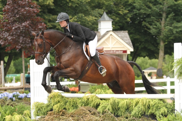 $1,000 Amateur Adult Hunter 18-35 Champion Counting Stars, owned by Kim Calamos and ridden by Kaitlyn Calamos