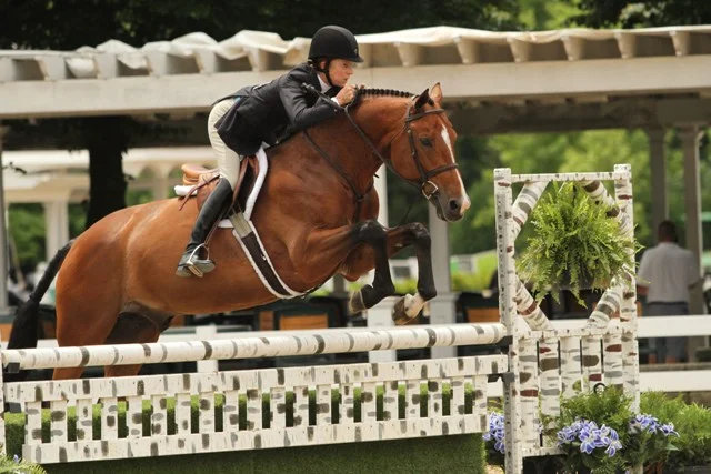 Rider Style Award Amateur Jane Gaston, riding Because
