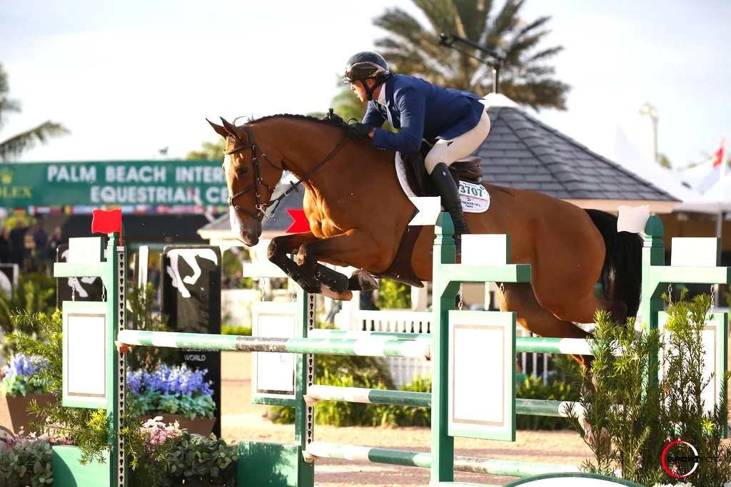 Freddie Vazquez and Bachelor 4 competing this spring at the Winter Equestrian Festival. Photo by SportFot