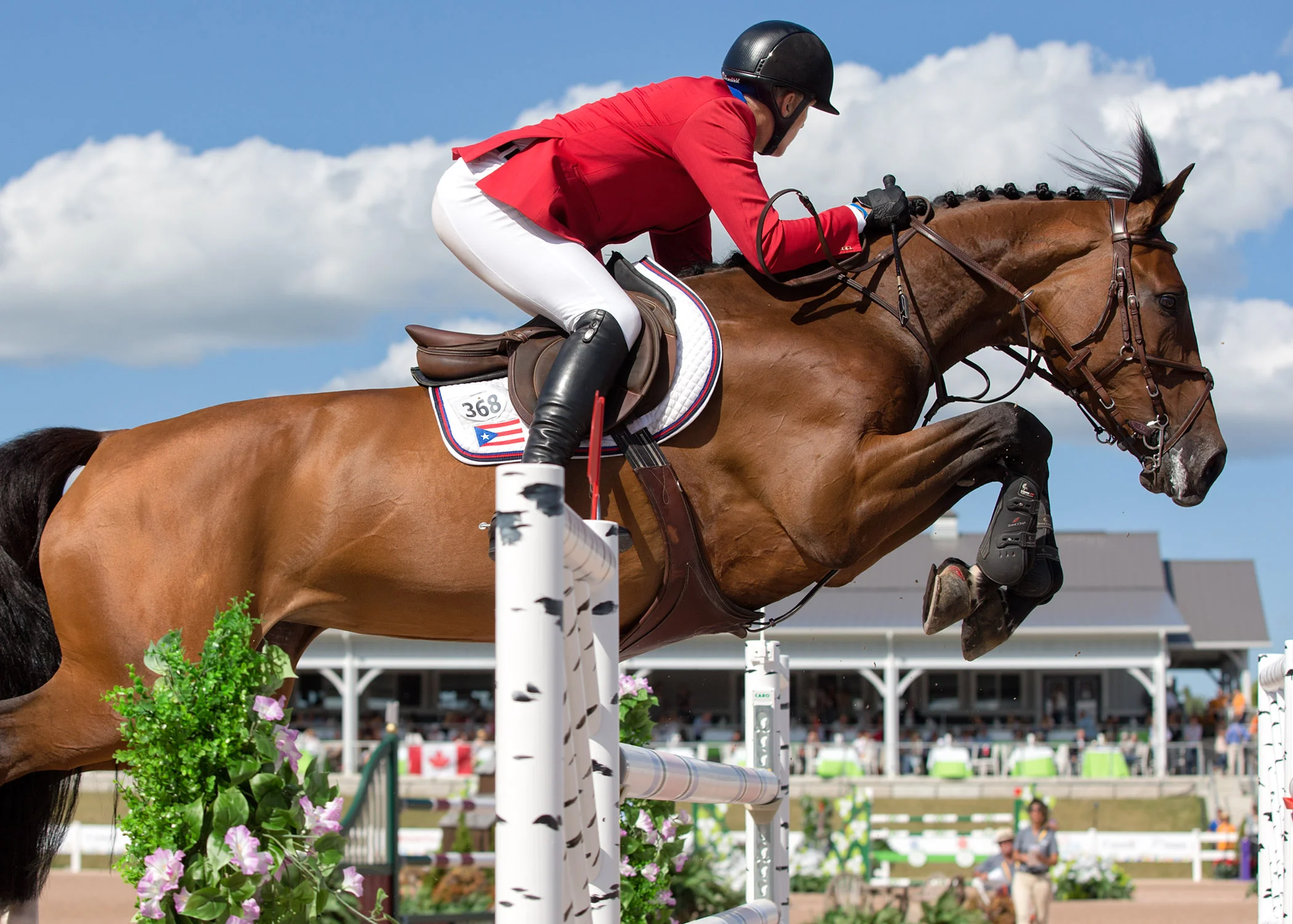 Freddie Vazquez and Esprit De Vie at the Pan Am Games in Toronto. Photo by Cealy Tetley
