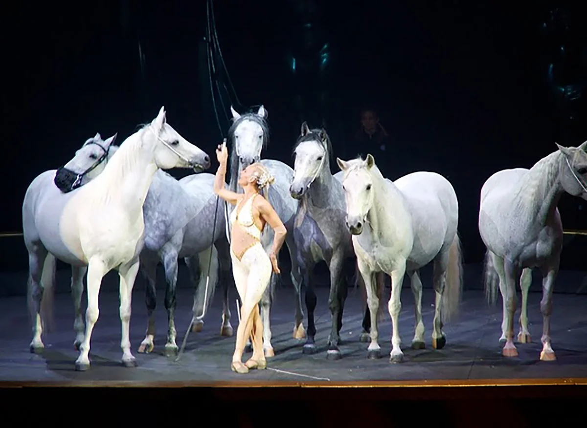 Former Cavalia performers Sylvia Zerbini and her liberty stallions. Photo courtesy of Sylvia Zerbini