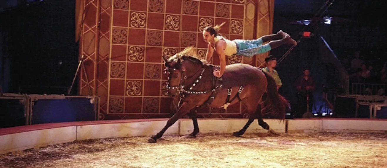 Former Cavalia performer Caleb Carinci Asch performs incredible feats with his horses. Photo courtesy of Carinci Asch.