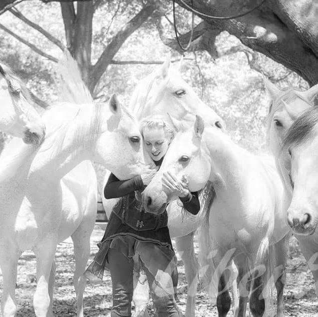 Sylvia Zerbini and her liberty stallions will perform in "Althea." Photo courtesy of Sylvia Zerini.