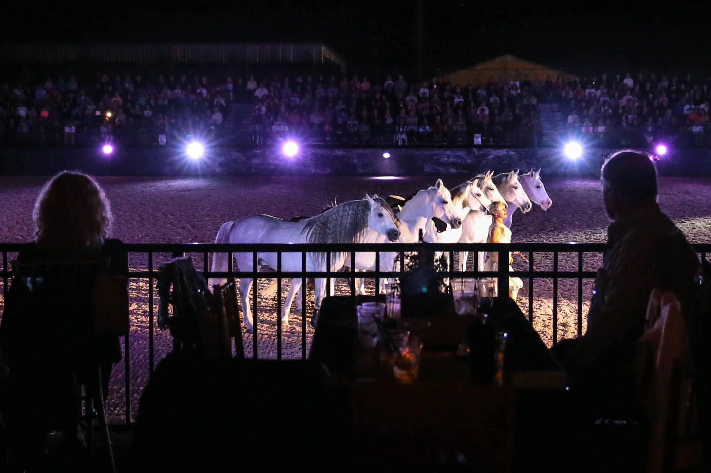 Sylvia Zerbini and her liberty stallions entertained the sold-out audience. Photo by Meg McGuire Photography