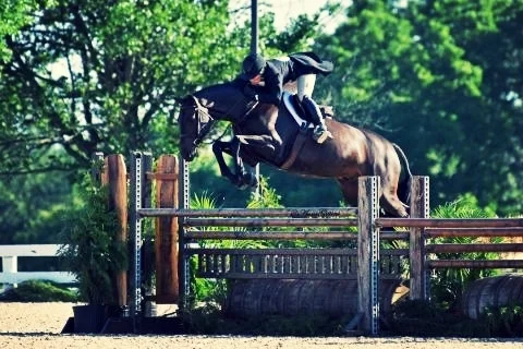Courtney Calcagnini and Bowie. Photo by Anne Gittens Photography.