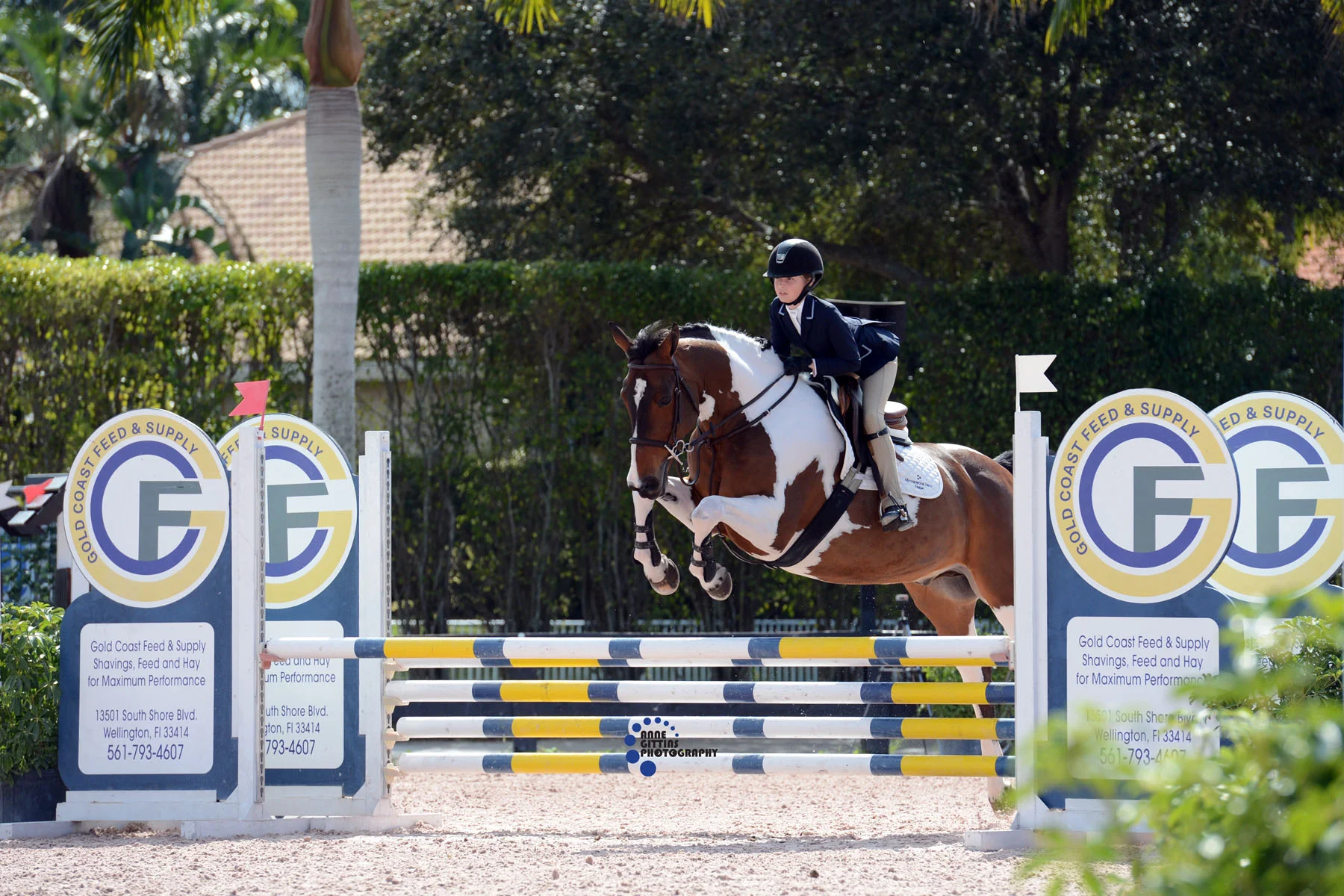Chloe Watrous and Sunman. Photo by Anne Gittens.