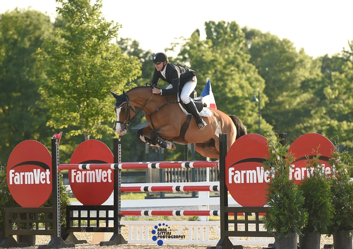 Lorcan Gallagher and Belize D'ive Z. Photo by Anne Gittins Photography.