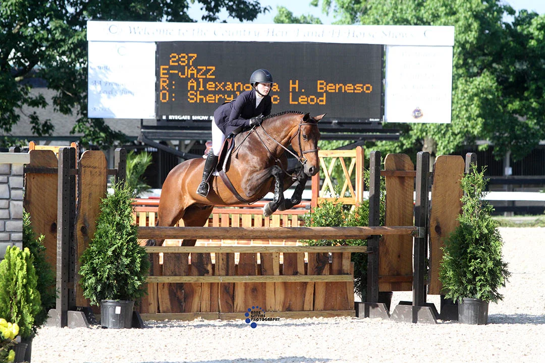 Alexandria Beneson and E-Jazz on Equitation Day. Photo by Anne Gittins Photography.