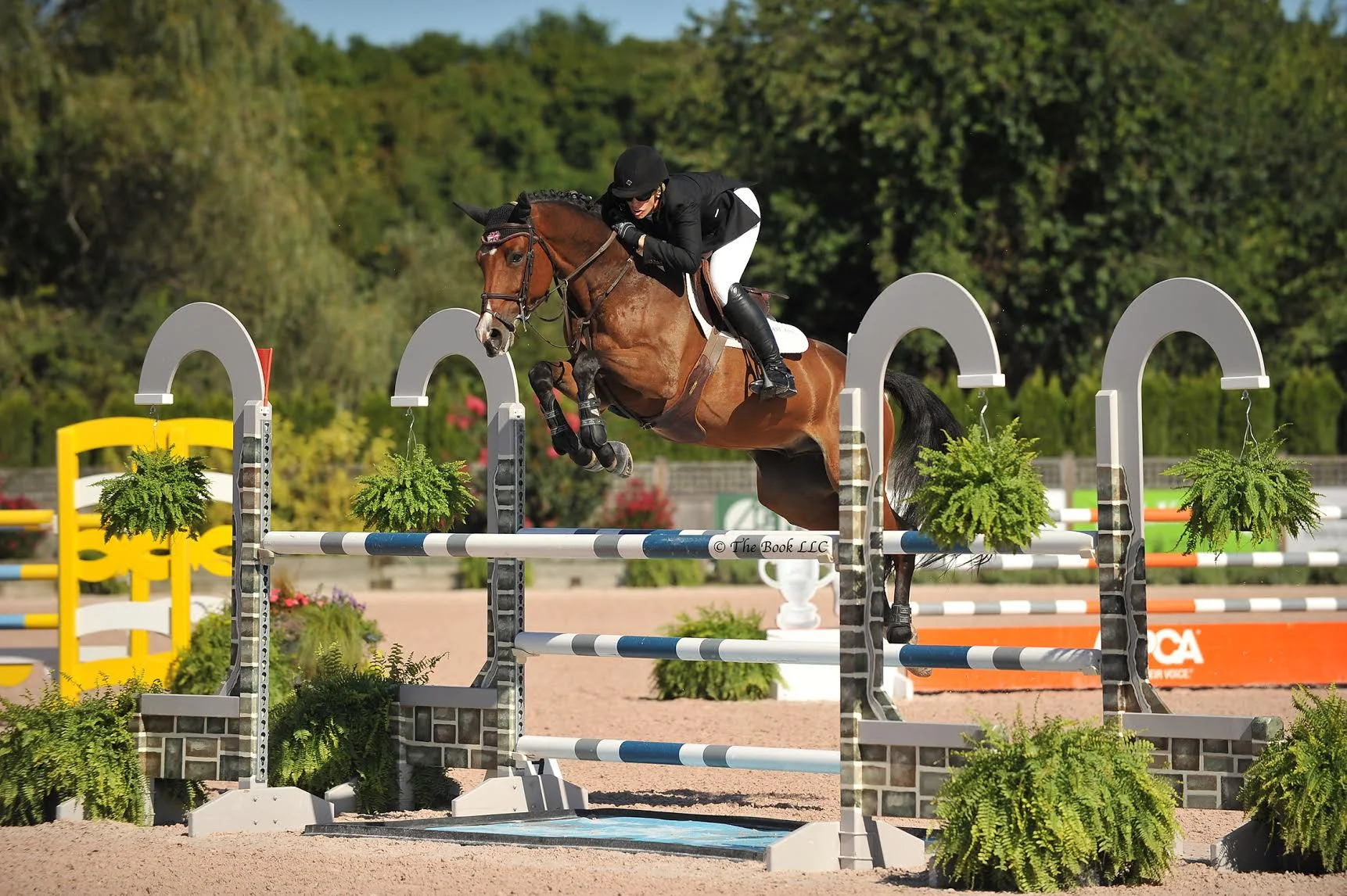 Tiffany Morrissey and Maarten Huygens' Carpriccio. Photo by The Book LLC