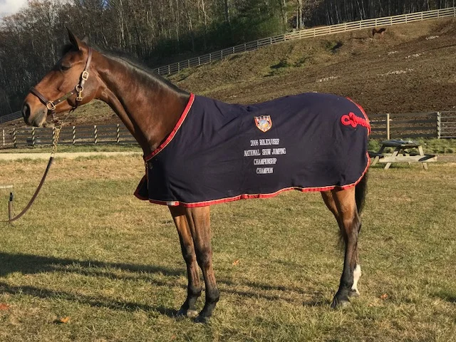 Gwen models the 2006 Rolex/USEF National Jumper Championship Cooler Photo by Kelli A. Kelliher