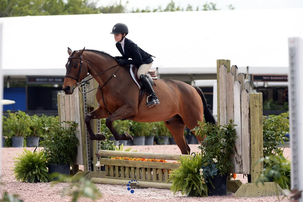 Alex Gascoigne and Seriously. Photo by Anne Gittins Photography