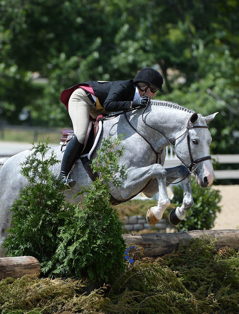 Tiffany Morrissey won the USHJA National Hunter Derby aboard Sebastian at the 2017 Country Heir I&II. Photo by Anne Gittins Photography