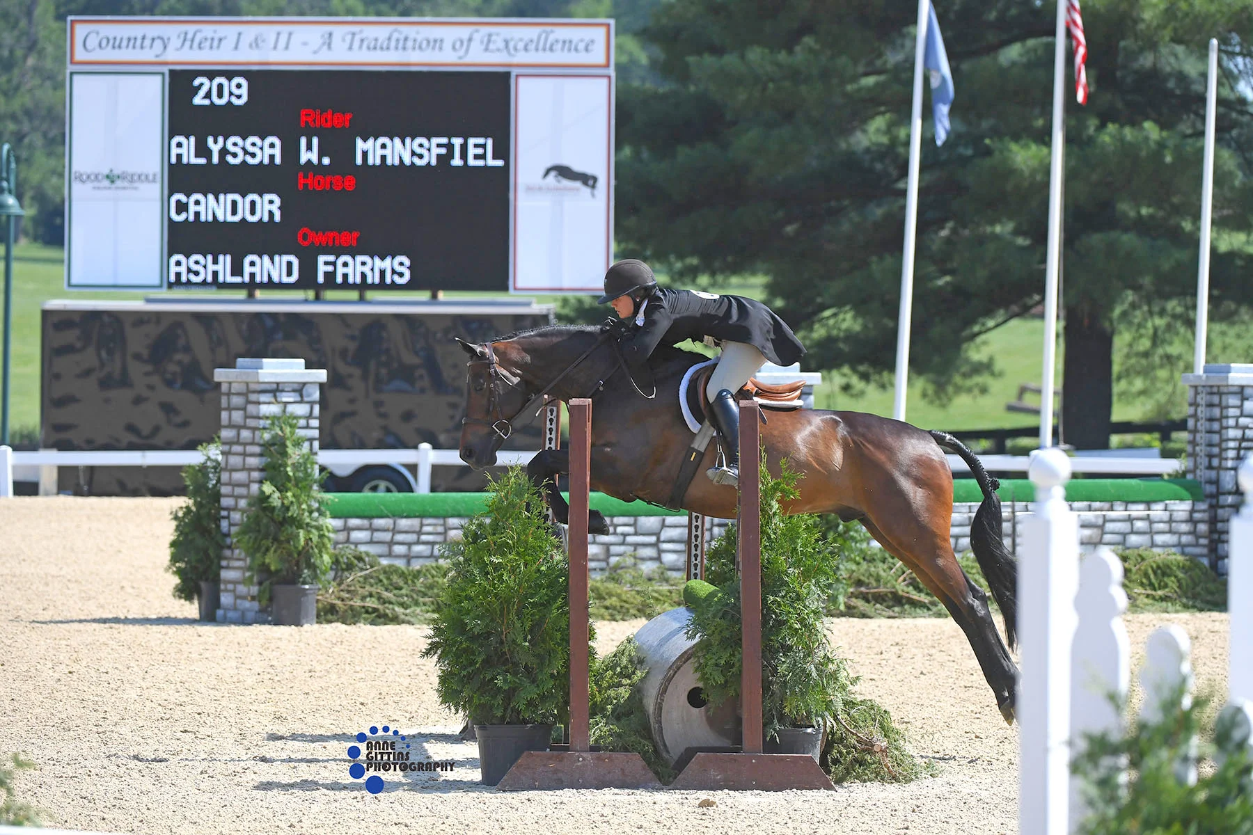 Alyssa Mansfield and Candor, owned by Ashland Farms. Photo by Anne Gittins Photography