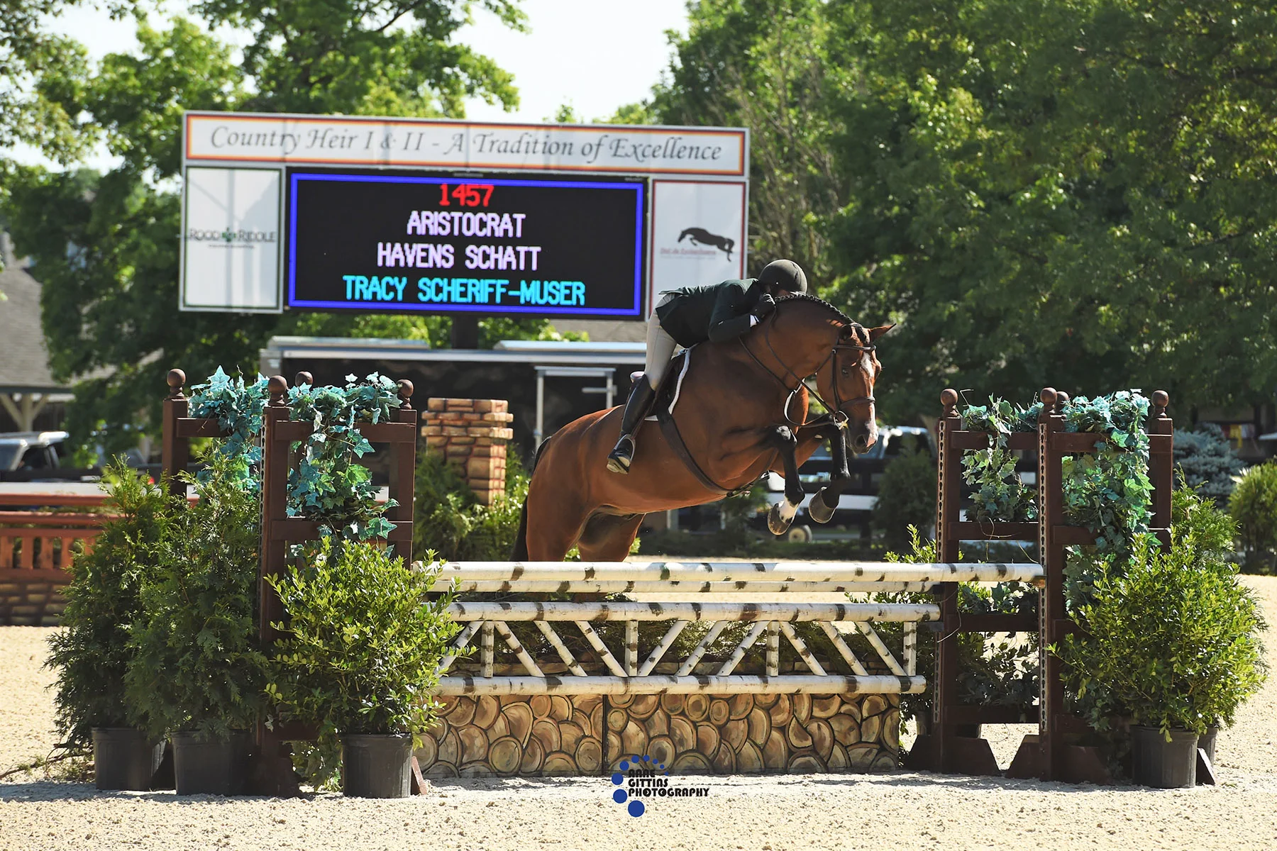 Havens Schatt and Aristocrat. Photo by Anne Gittins Photography