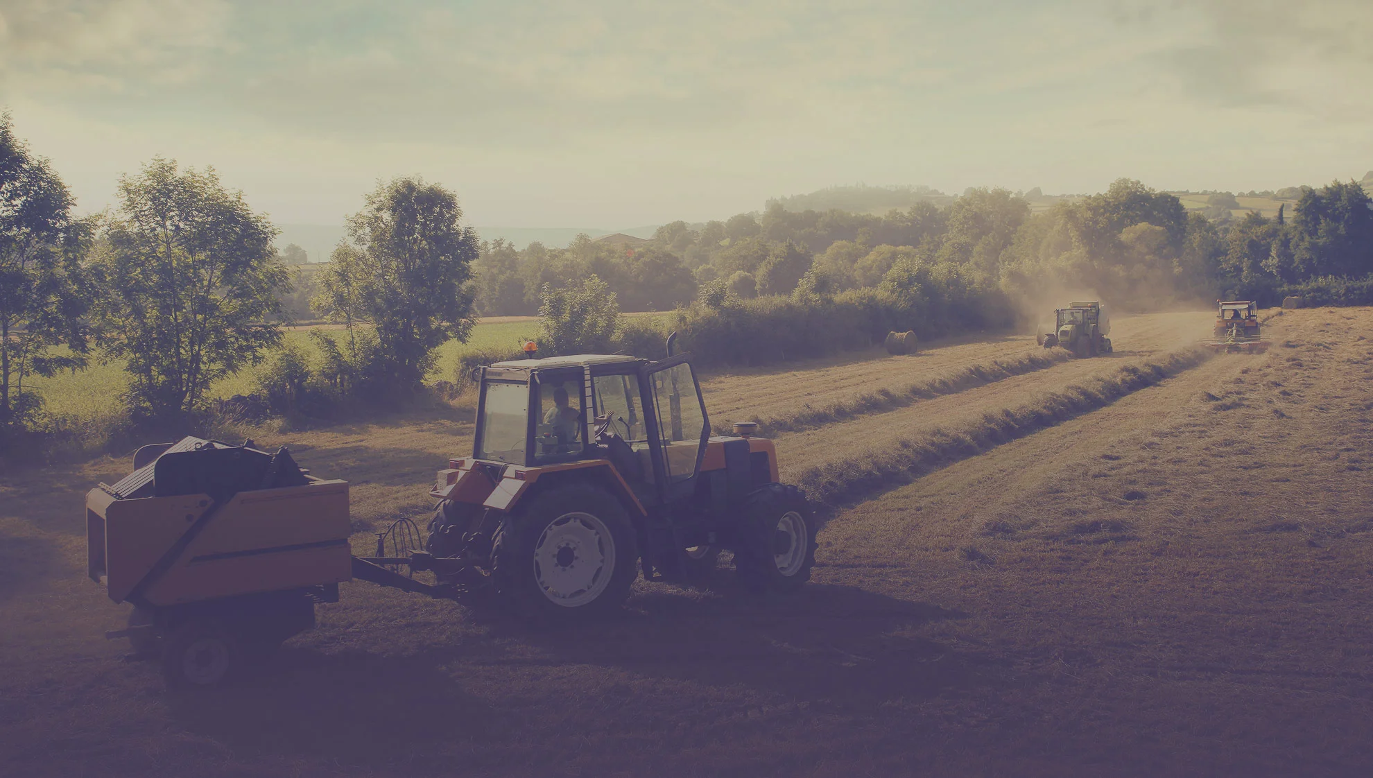 Eastern Hay produces a significant percentage of the hay they sell. Photo courtesy of Eastern Hay