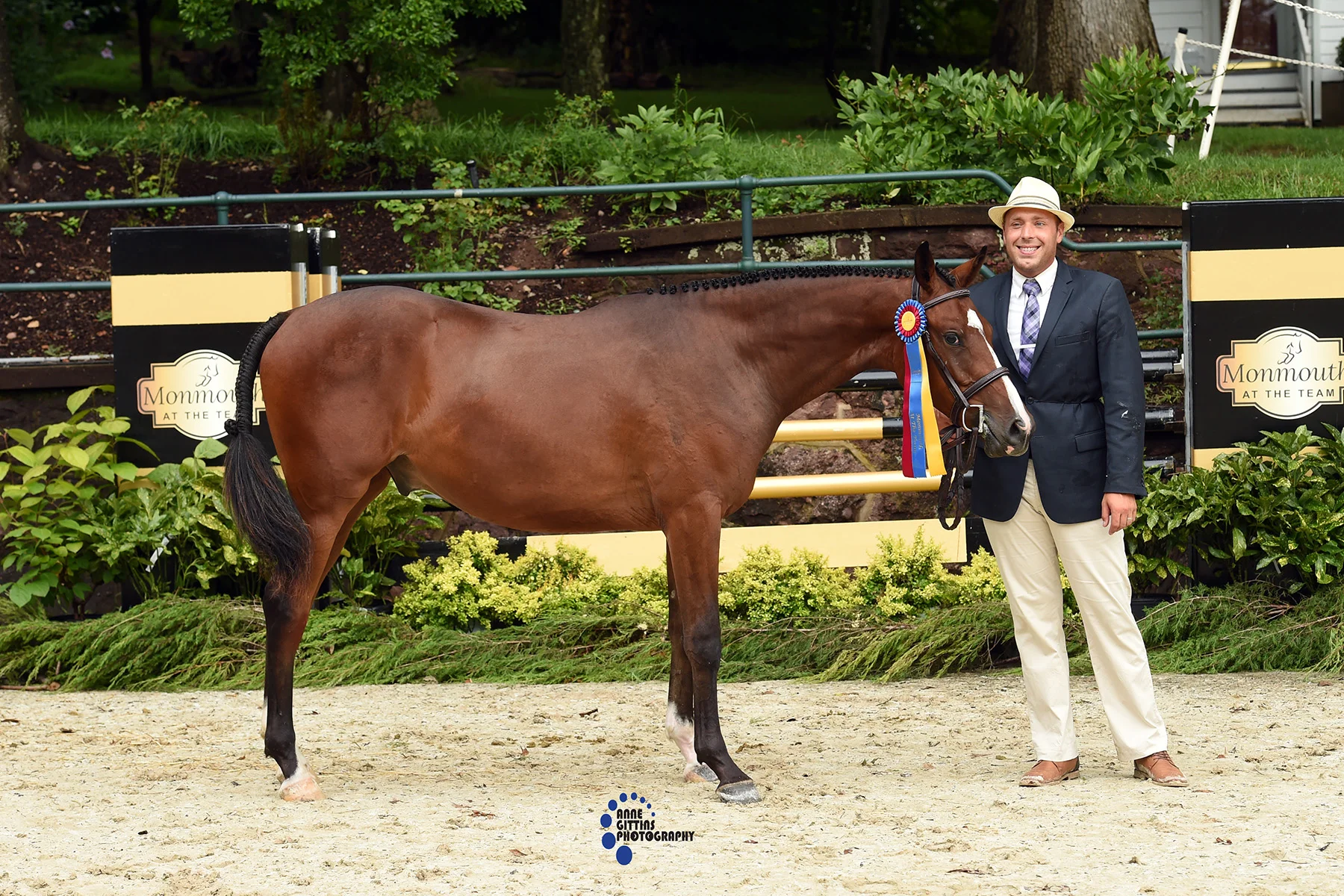 In the Hunter Breeding division, Winterfells Casterly Rock, owned by Konicki Enterprises and handled by Jason Yannitello, was named Best Young Horse. Photo by Anne Gittins Photography