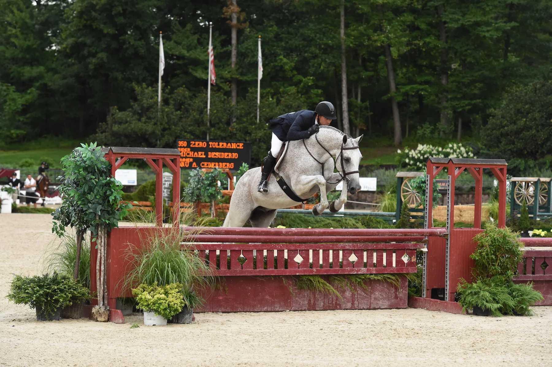 Second-place finishers Michael Desiderio and Zero Tolerance. Photo by Anne Gittins Photography