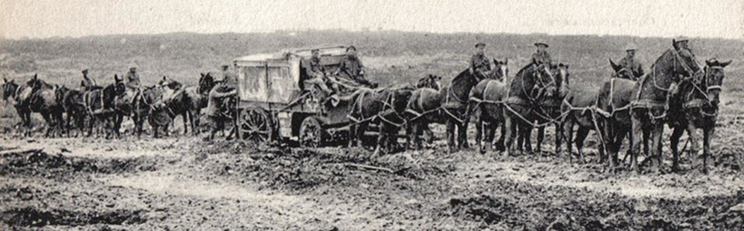 Brooke_2_Wagon Image.png