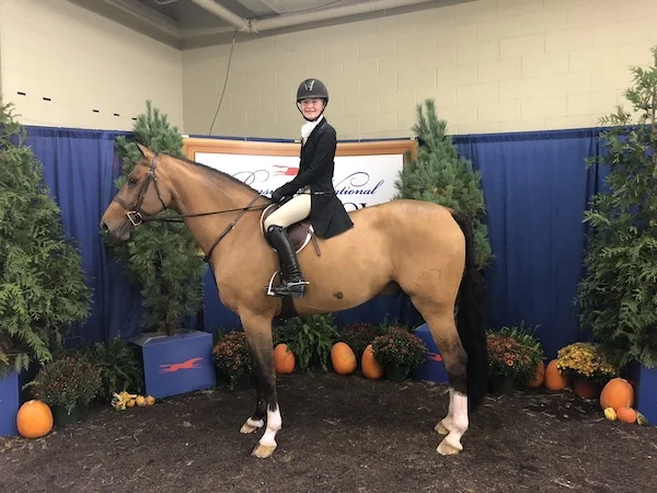 Chloe Watrous and Casual were sixth in the Children's Hunters at the Pennsylvania National Horse Show. Photo by Jodi Vazquez