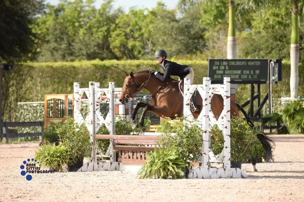 Dani Gascoigne and On Q. Photo by Anne Gittins Photography