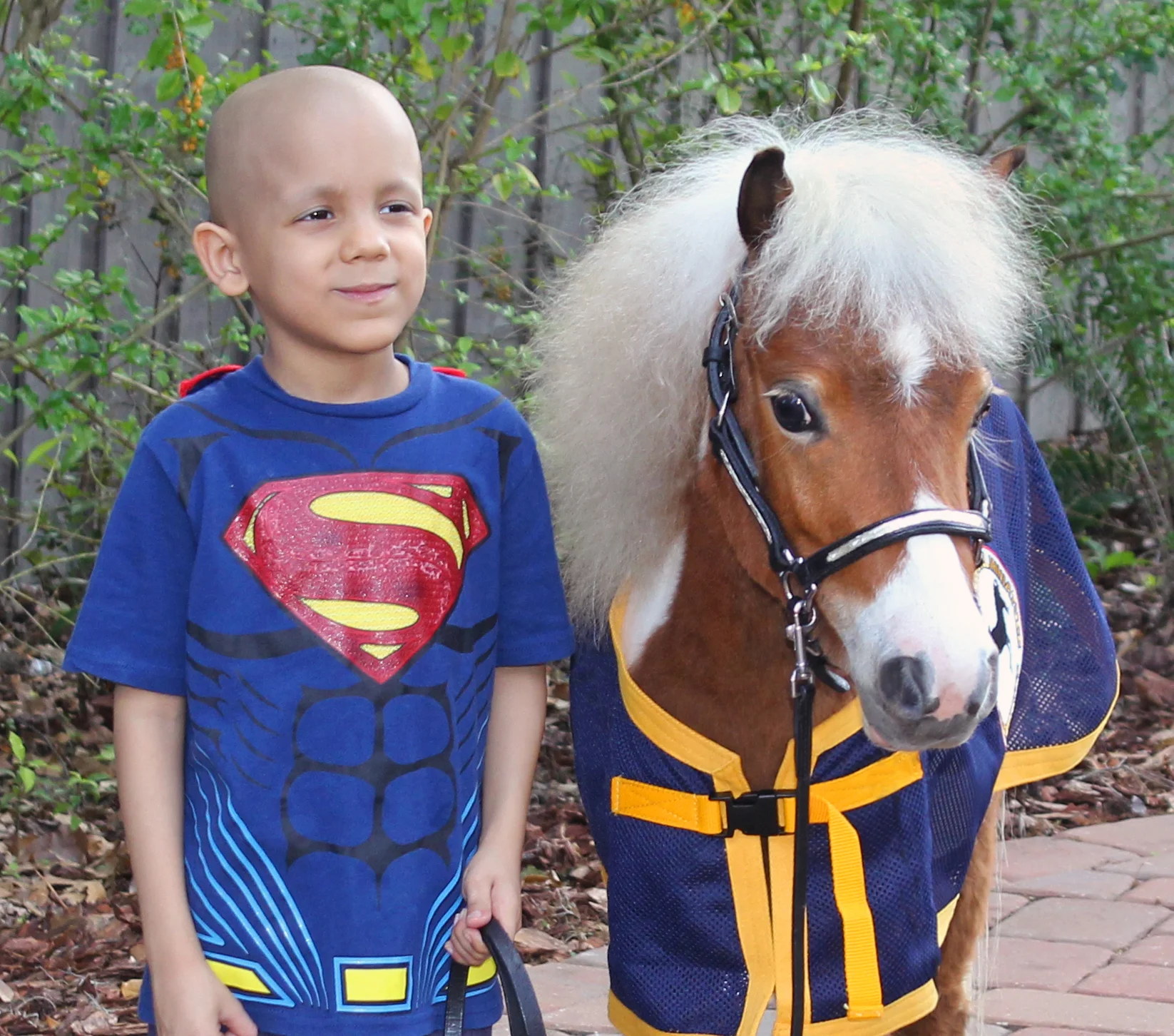 Dream meets Superman