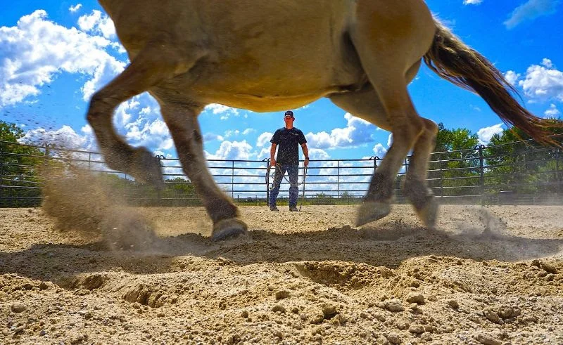 Jason Klepac, Army veteran and Linexa, Kansas police officer, volunteering his time at War Horses for Veterans. Photo John Parker, War Horse Media