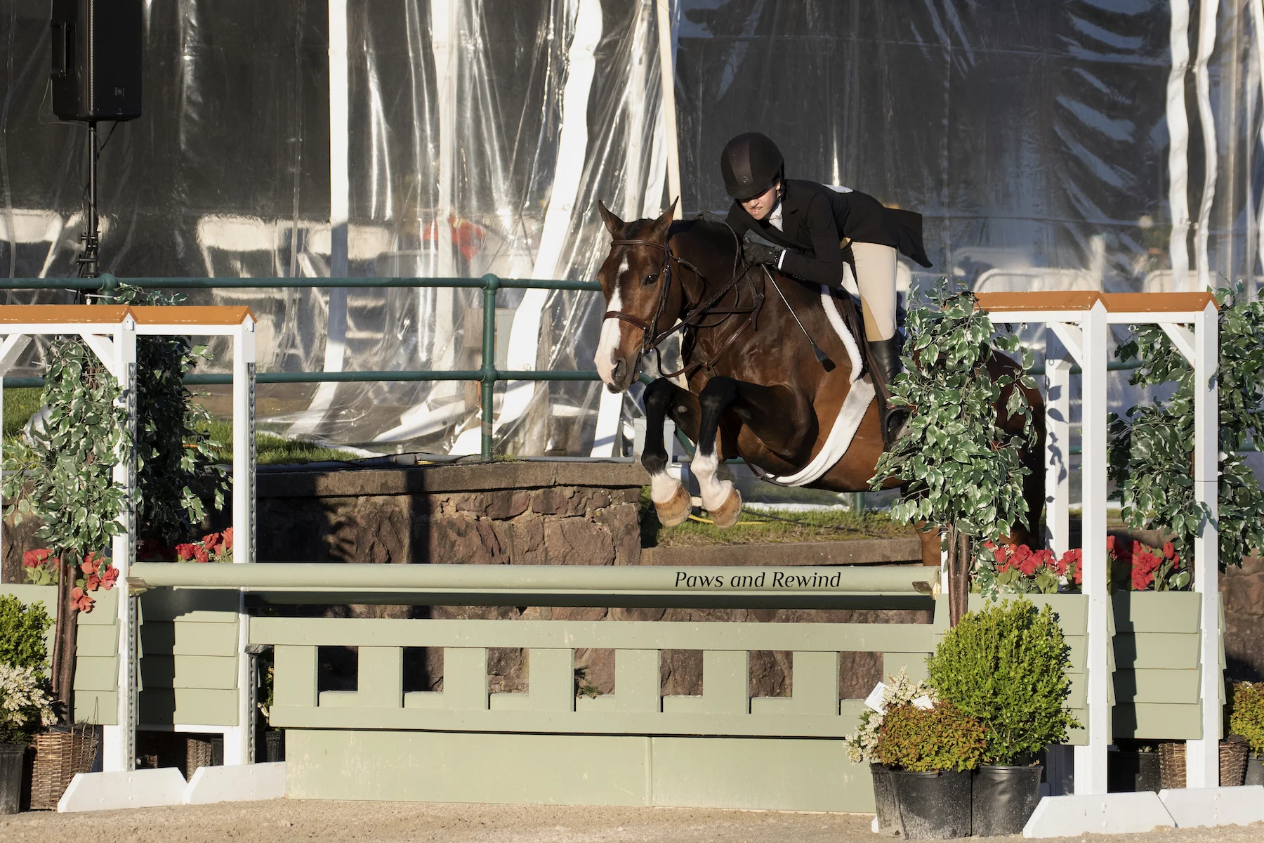 Mia Chimenti and Ericsson. Photo by Paws and Rewind