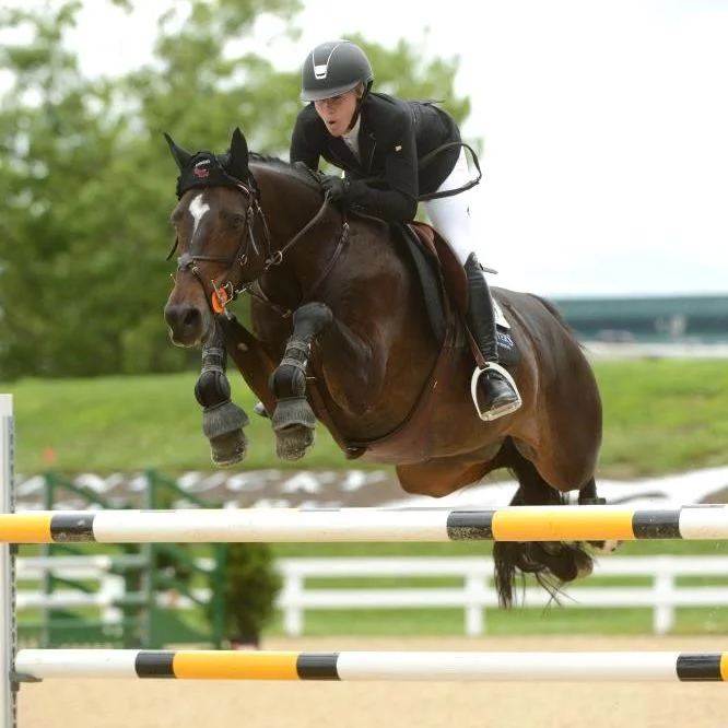 Summer Hill and Light Show. Photo by Anne Gittins Photography
