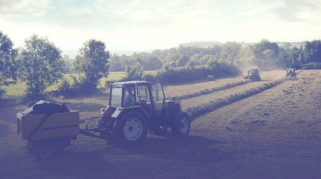 Eastern Hay is a premier provider of top-quality hay, grain and shavings