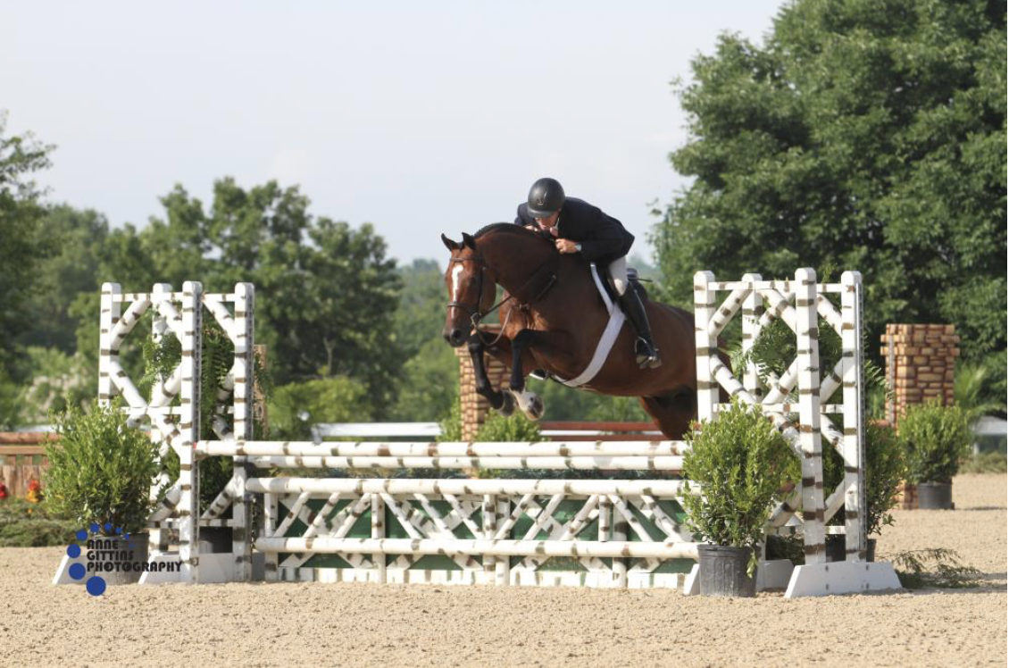 Christopher Payne and Solitude won the $10,000 Joey Darby Green Hunter Challenge. Photo by Anne Gittins Photography