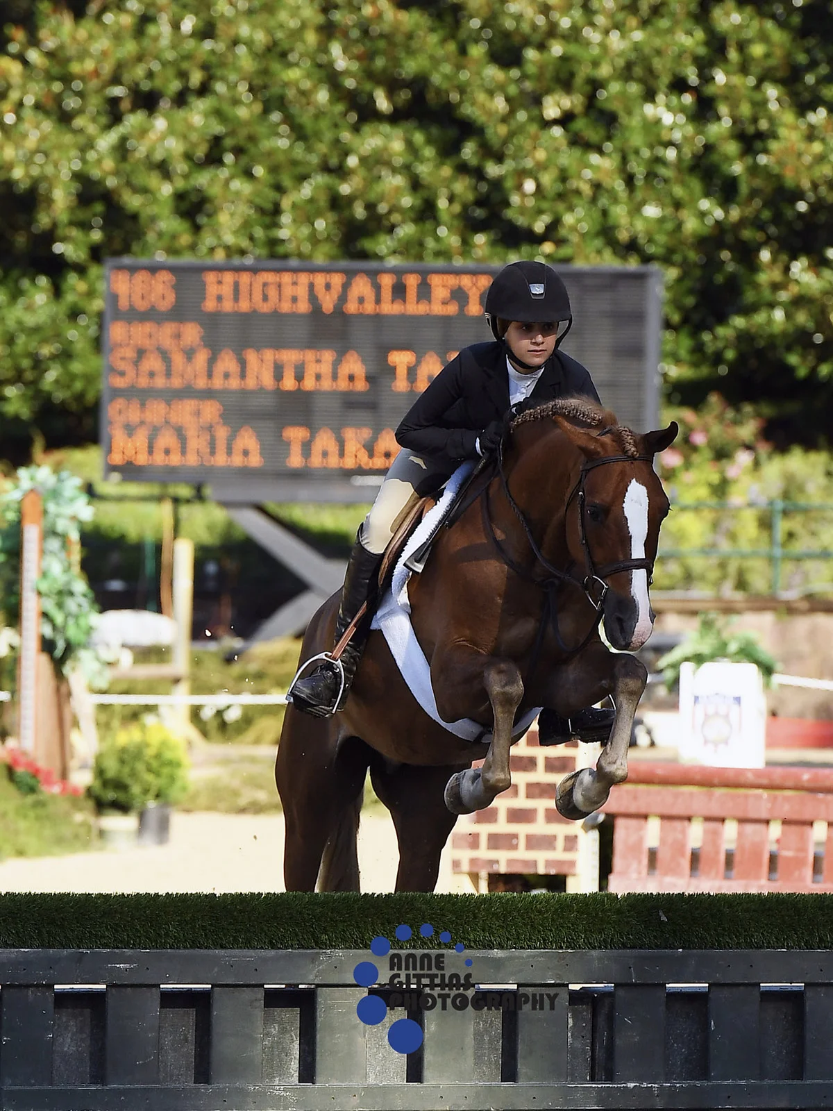 Highvalley and Samantha Takacs kicked off the morning with victory in the Children's Hunter Pony. Highvalley was imported by Stal De Eyckenhoeve. Photo by Anne Gittins Photography