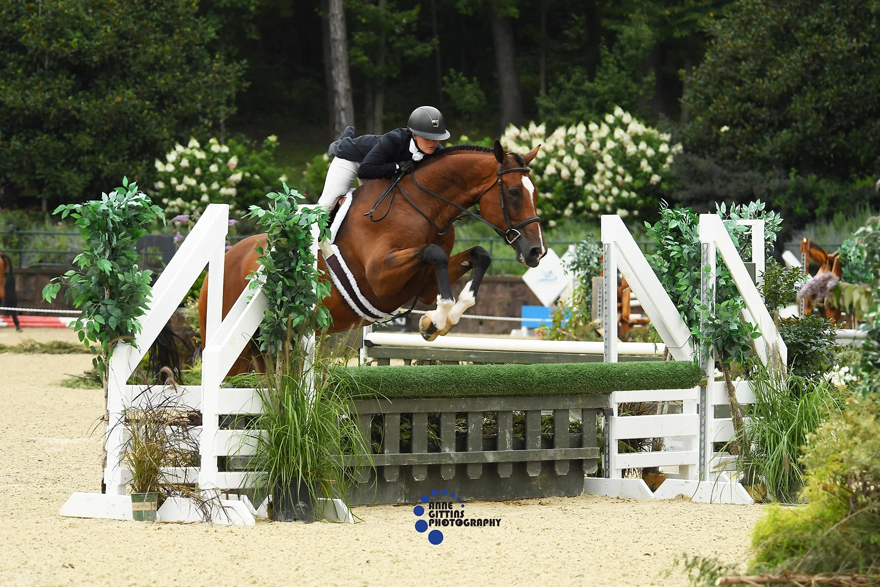 Morgan Ward and Cypress. Photo by Anne Gittins Photography