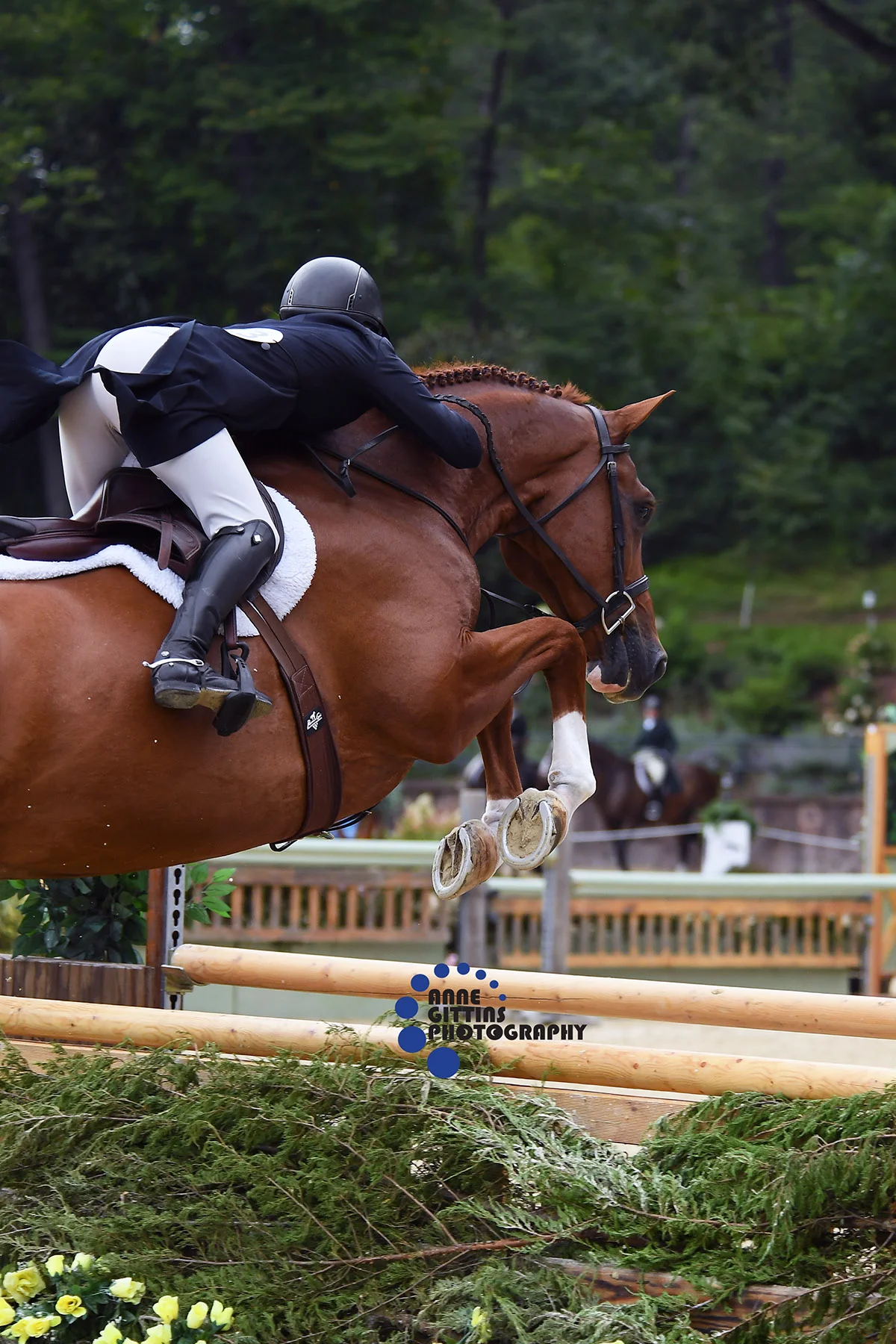 Morgan Ward and Carpedi. Photo by Anne Gittins Photography