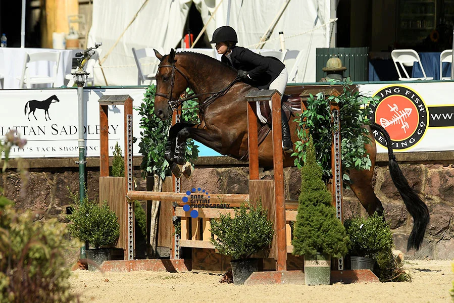 Reese Merna and with Utrillo Du Soleil cleaned up in the 3' Equitation taking the win in the THIS Children's Medal and were champions of the 3' Equitation. Photo by Anne Gittins Photography