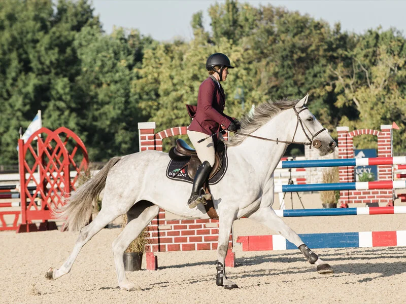 Taylor Flury aboard Palano ABF in Wednesday's 4-Year-Old Exhibition class. Photo by EQ Media