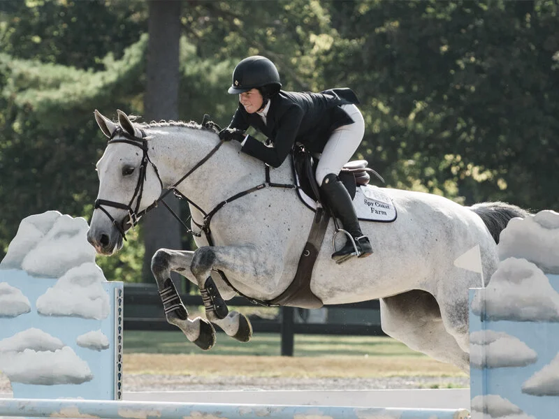 5-year-old division champion and Classic Champions Award of Distinction recipient Out Of The Blue SCF (Verdi x Casablanca La Silla) ridden by Jennifer Waxman of Spy Coast Farm. Photo by EQ Media